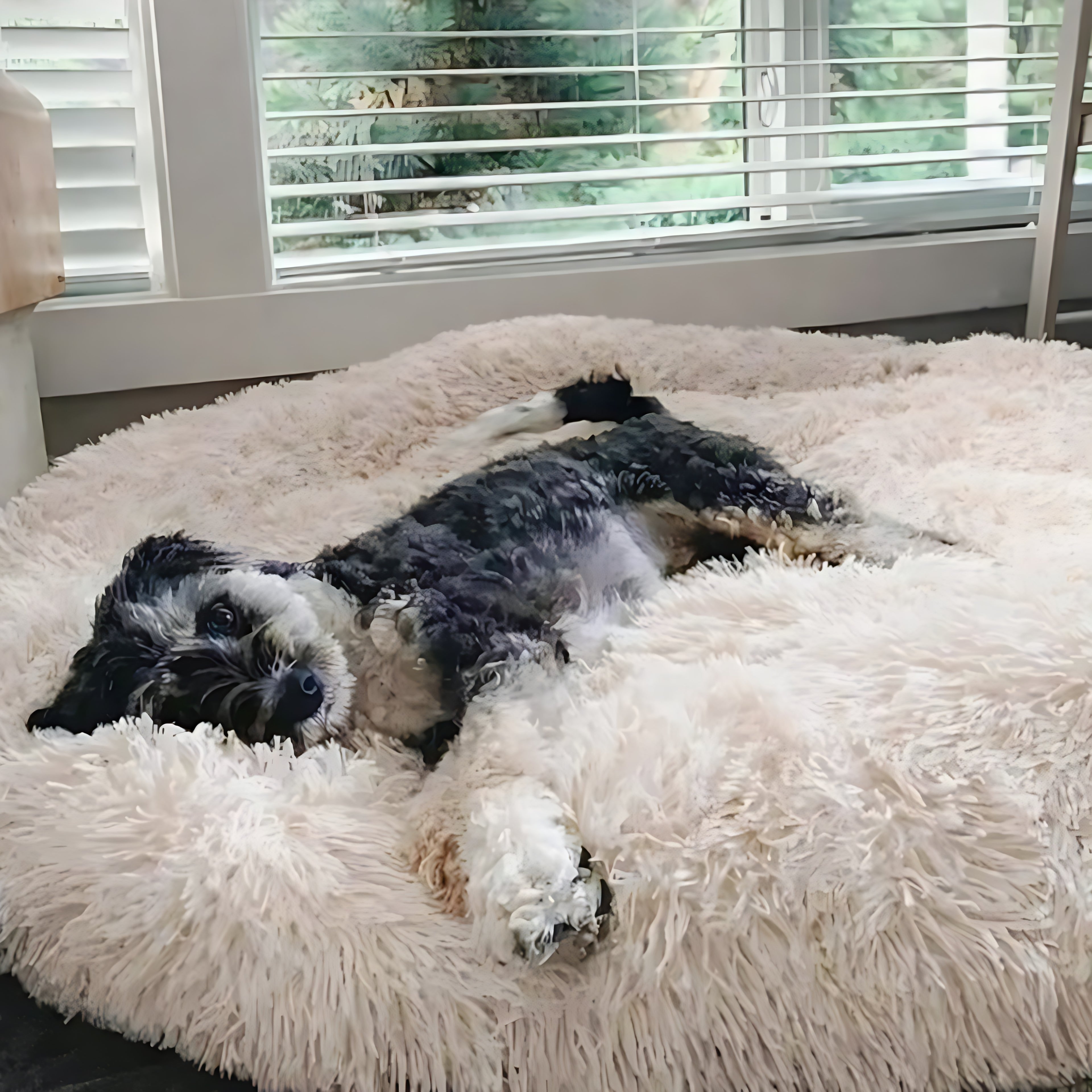 Snufly™ Anti-Angst Hondenbed – Geborgen comfort voor diepe ontspanning