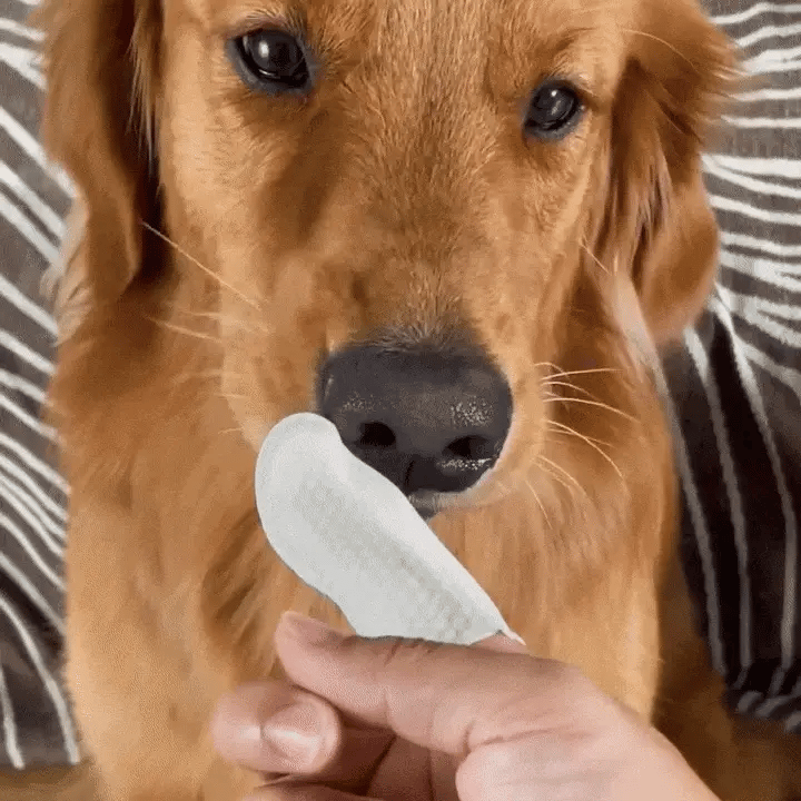 Freshwipes SNUFLY