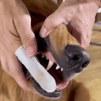 Freshwipes SNUFLY