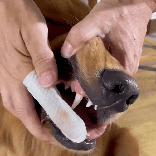 Freshwipes SNUFLY
