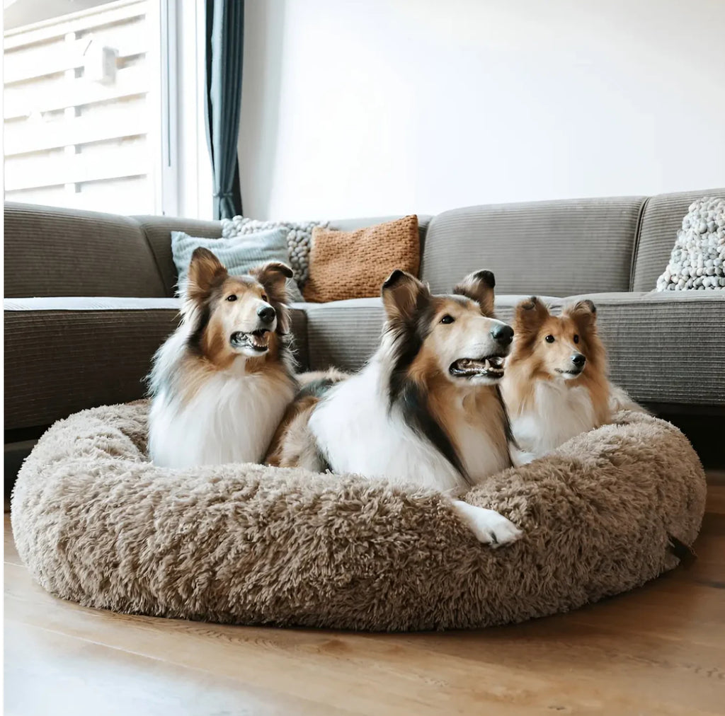 Snufly™ Anti-Angst Hondenbed – Geborgen comfort voor diepe ontspanning