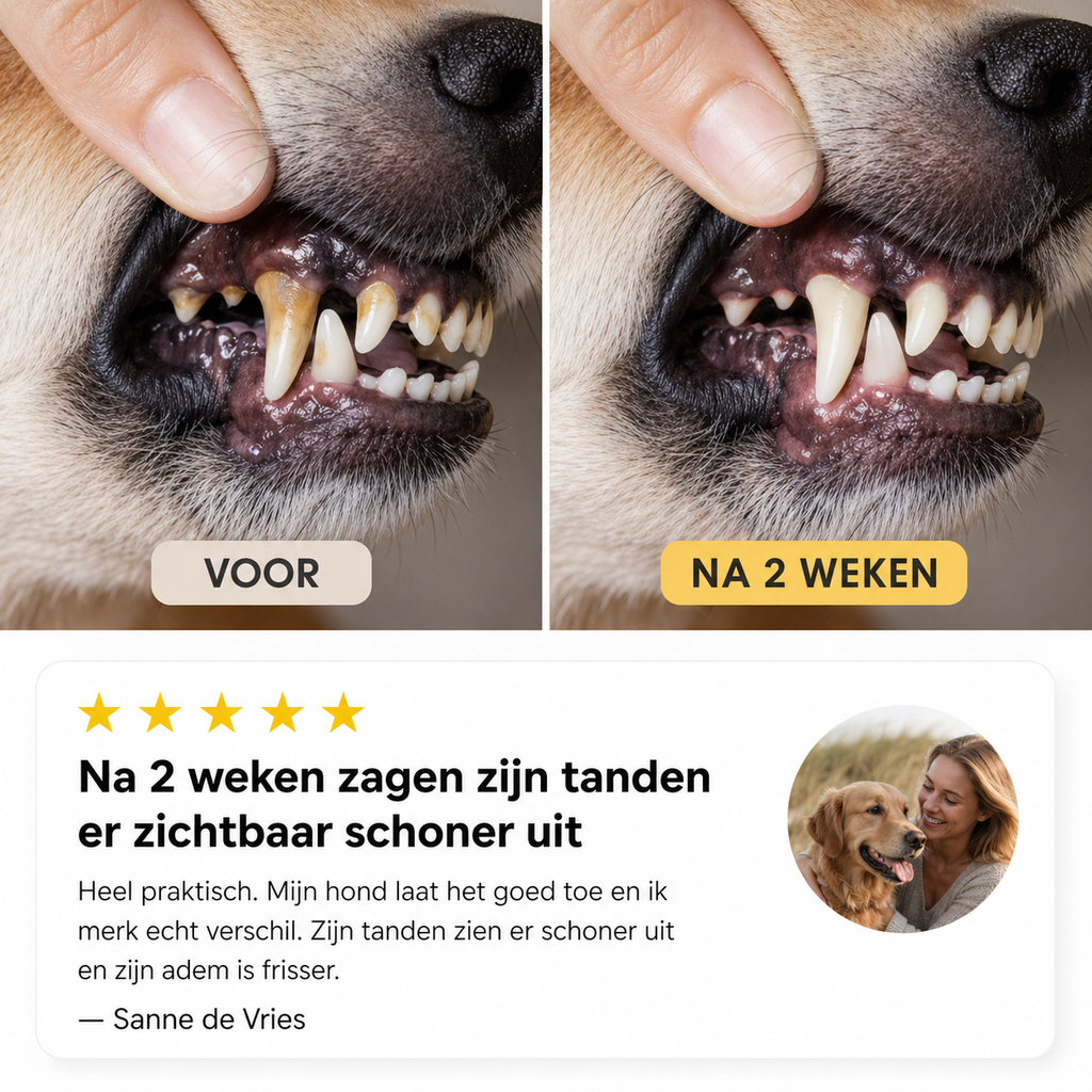 CareWipe – Schone tanden zonder dat je hond wegrent SNUFLY