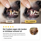 CareWipe – Schone tanden zonder dat je hond wegrent SNUFLY